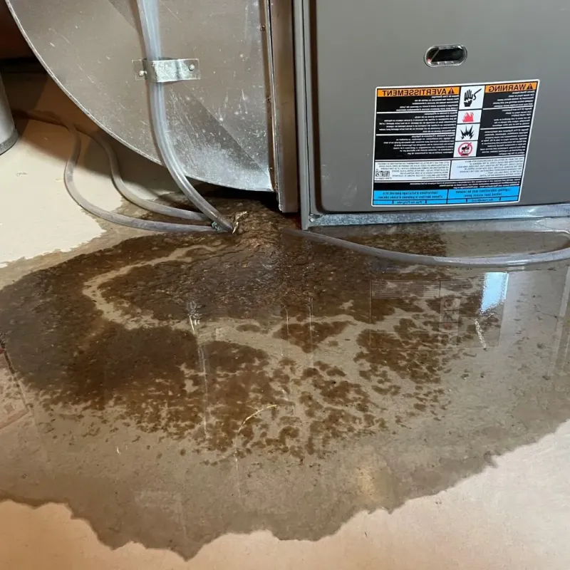 Pipe Burst and Leak Restoration in Gettysburg, PA