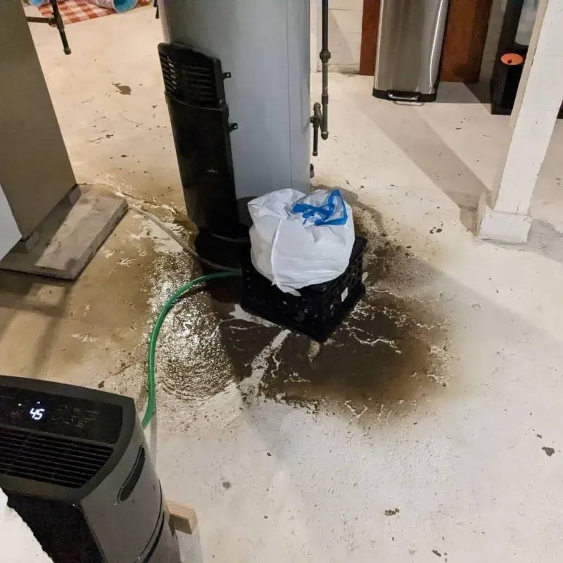 Sewage Backup Cleanup Service in Gettysburg, PA